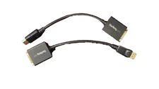 Lot of 2  Genuine STARTECH DP2DVI2 DisplayPort to DVI Adapter ~~MInt