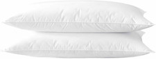 Ultra Thin Flat Soft Bed Pillows Queen Size Set of 2 Pack for Sleeping 20"X30",