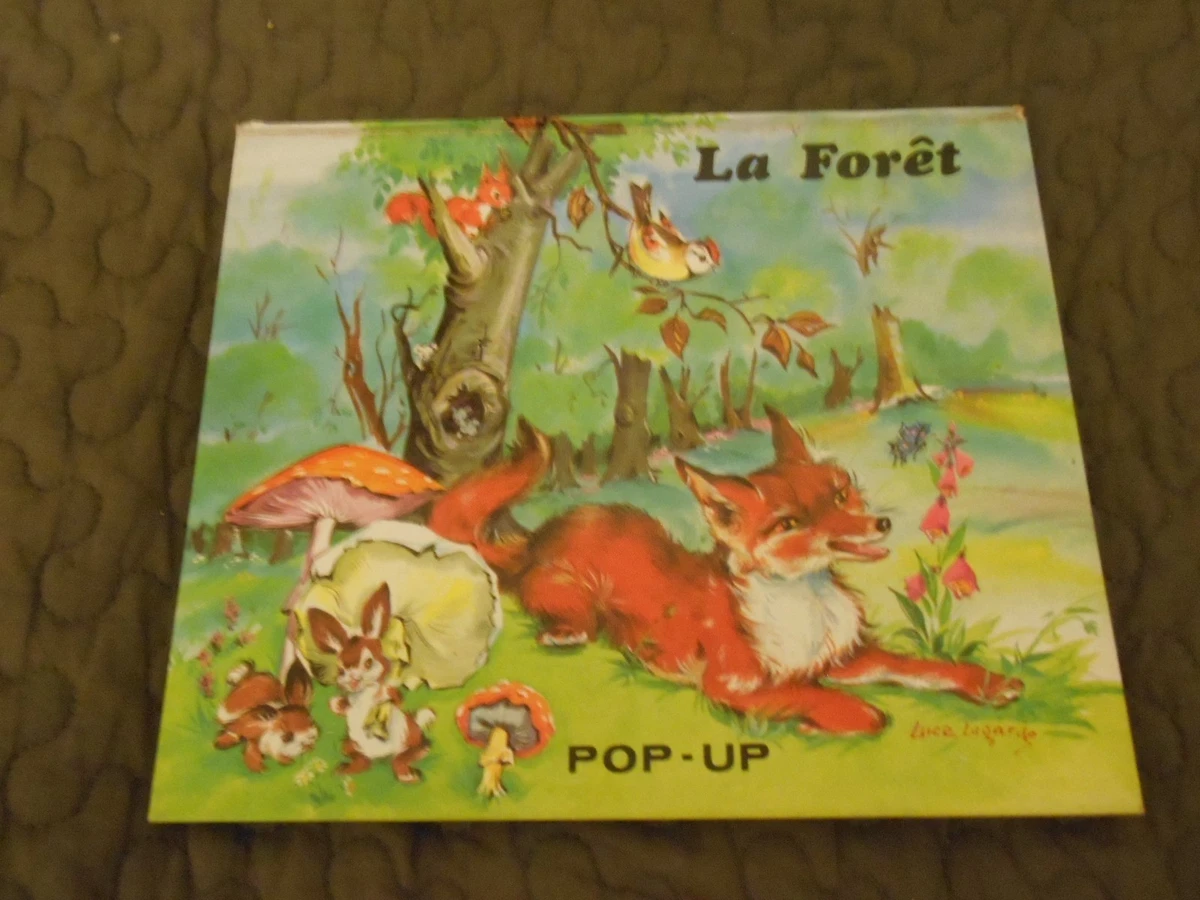 2 Livres d'enfants pop-up vintage Hansel Aladin (Gebraucht) in Genève