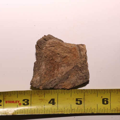 Dinosaur Rib Piece - Beautiful Fossil - Hell Creek Formation Cretaceous - Picture 8 of 10