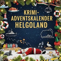 Julian Hartmann | Der Krimi-Adventskalender Helgoland | Taschenbuch | Deutsch