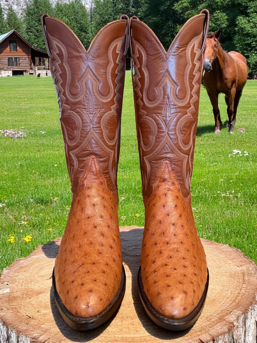 トニーラマTony Lama Ostrich Quill VTG ベルト トニーラマTony Lama Ostrich Quill VTG ベルト