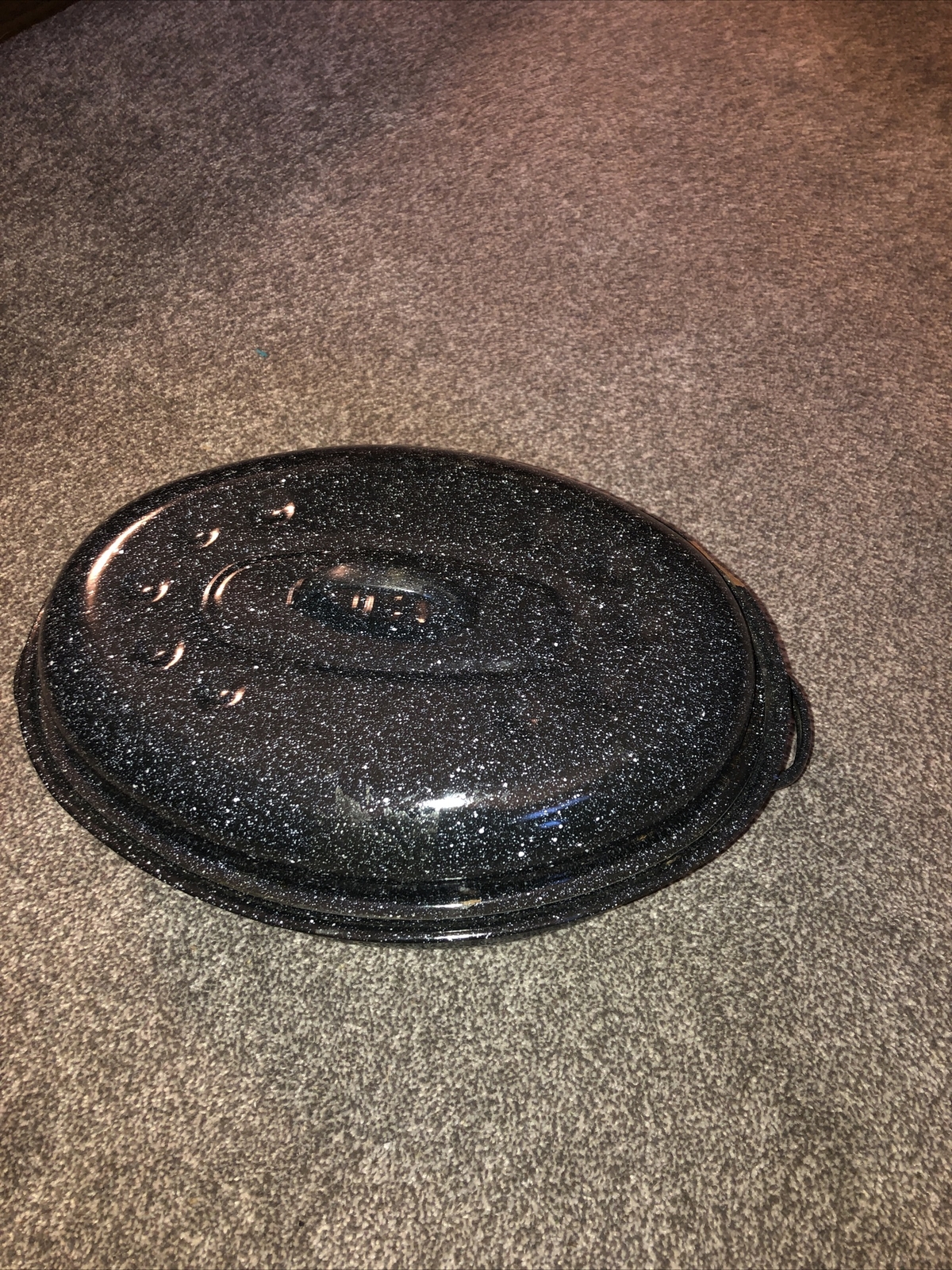 VTG Roasting Pan 5 Qt Blue Speckled Enamel Roaster w/ Lid Made in USA