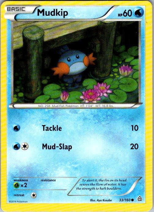 Pokemon | XY - Primal Clash | Mudkip | 33/160 | Normal | NM
