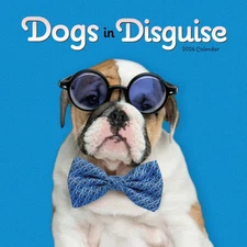 Carousel Calendars,  Dogs in Disguise 2026 Wall Calendar, 12'' X 12'', 16-Month