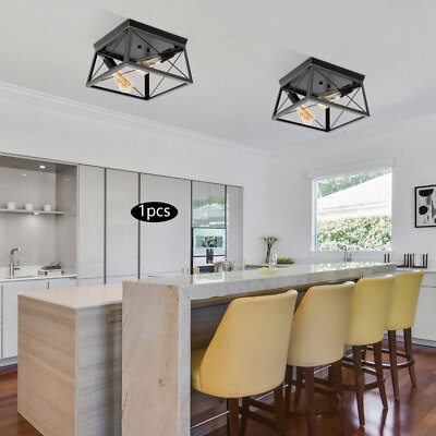 2-Light Ceiling Light Fixture Farmhouse Industrial Flush Mount Matte Black Lamps