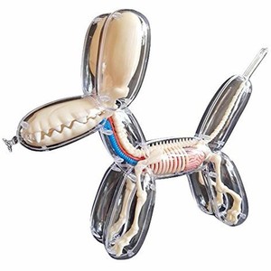 jason freeny balloon dog anatomy