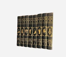 The Book Of Life Series Complete 8 Volume Set HB Illustrated Religion Bible