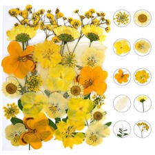 30Pcs Dried Pressed Natural Flowers for Resin Molds Real Pressed Flowers Dry ...