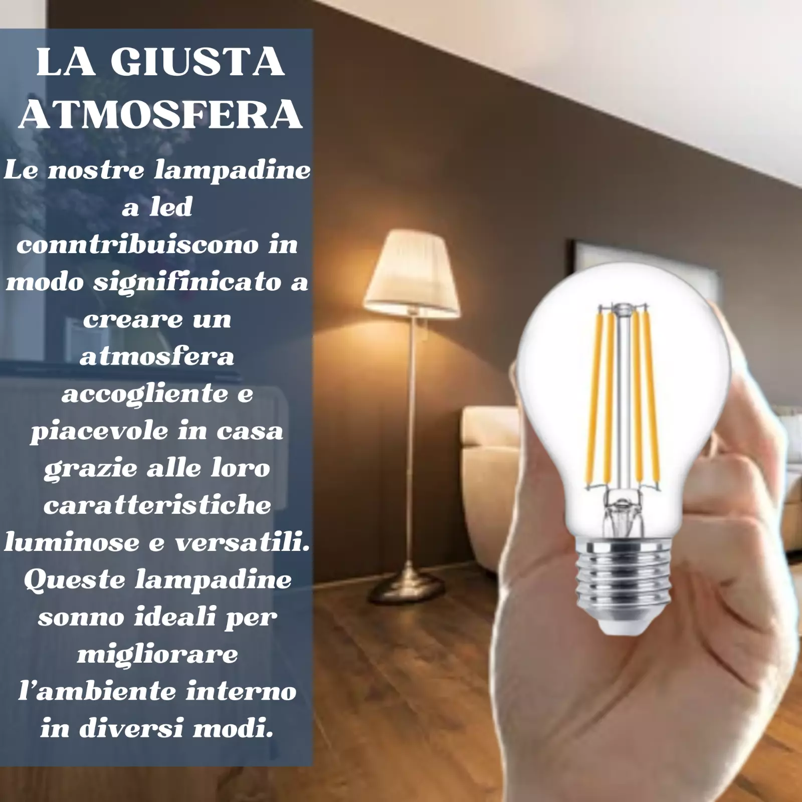 Imagen 10 de 25
