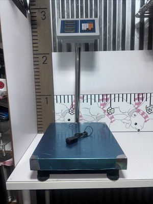 660 lbs Weight Computing Digital Floor Platform Scale