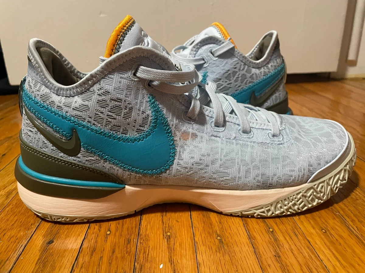 Nike Zoom LeBron NXXT Gen Blue Tint for Sale | Authenticity