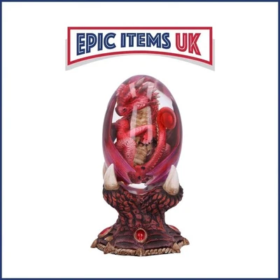 Nemesis Now Elemental Dragonlings - Fire Dragon in Clear Egg 12cm - Image 1 of 4