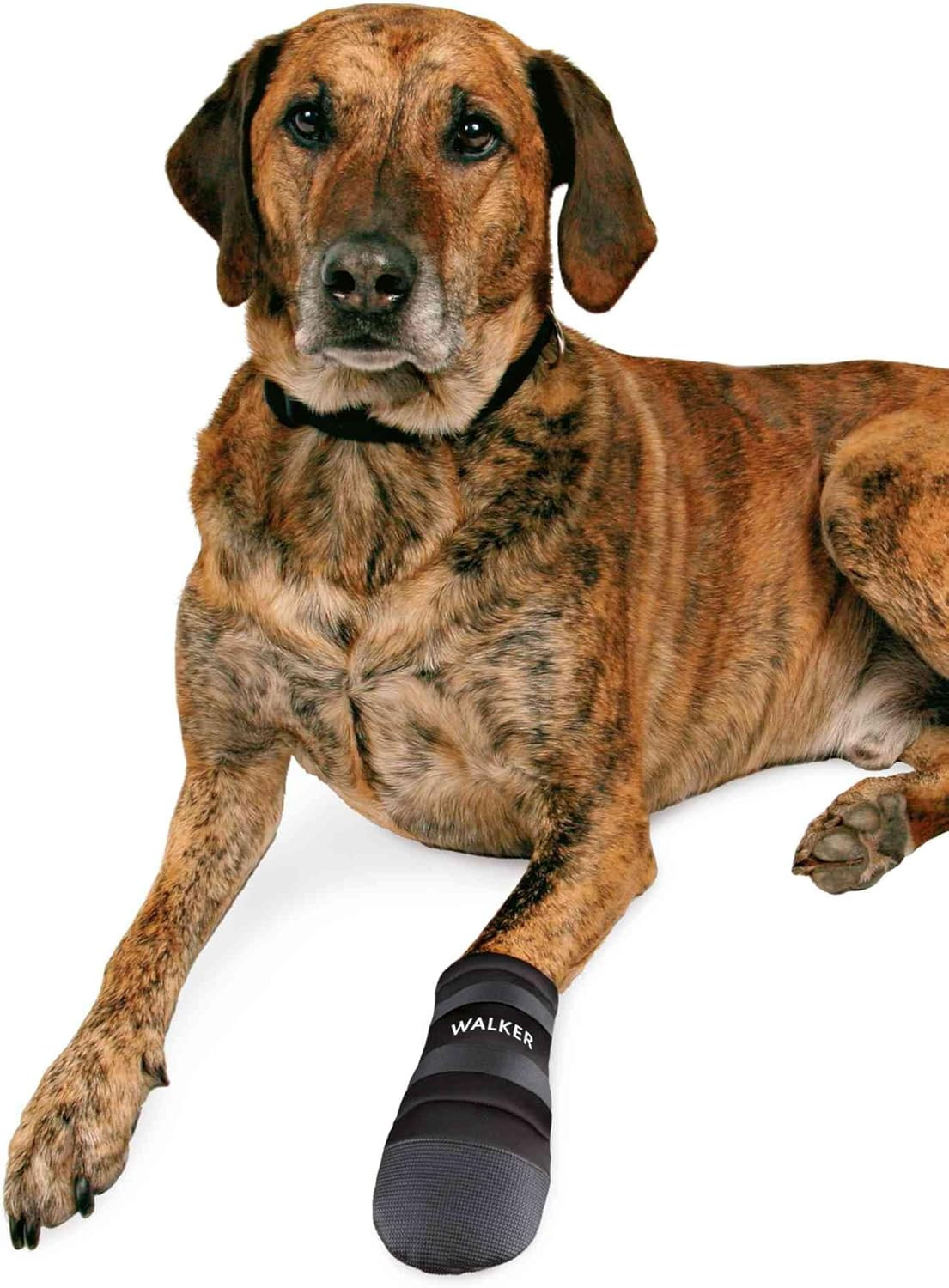 Walker Care Prot. Zampe XXL - Accessori Cane Capottini E Vestiario foto 2