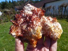 Vanadinit auf Baryt, Mibladen Marokko - Exklusive Top Schaustufe # 3