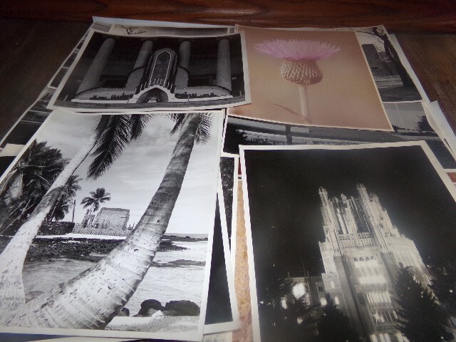 Picture 10 of 14
