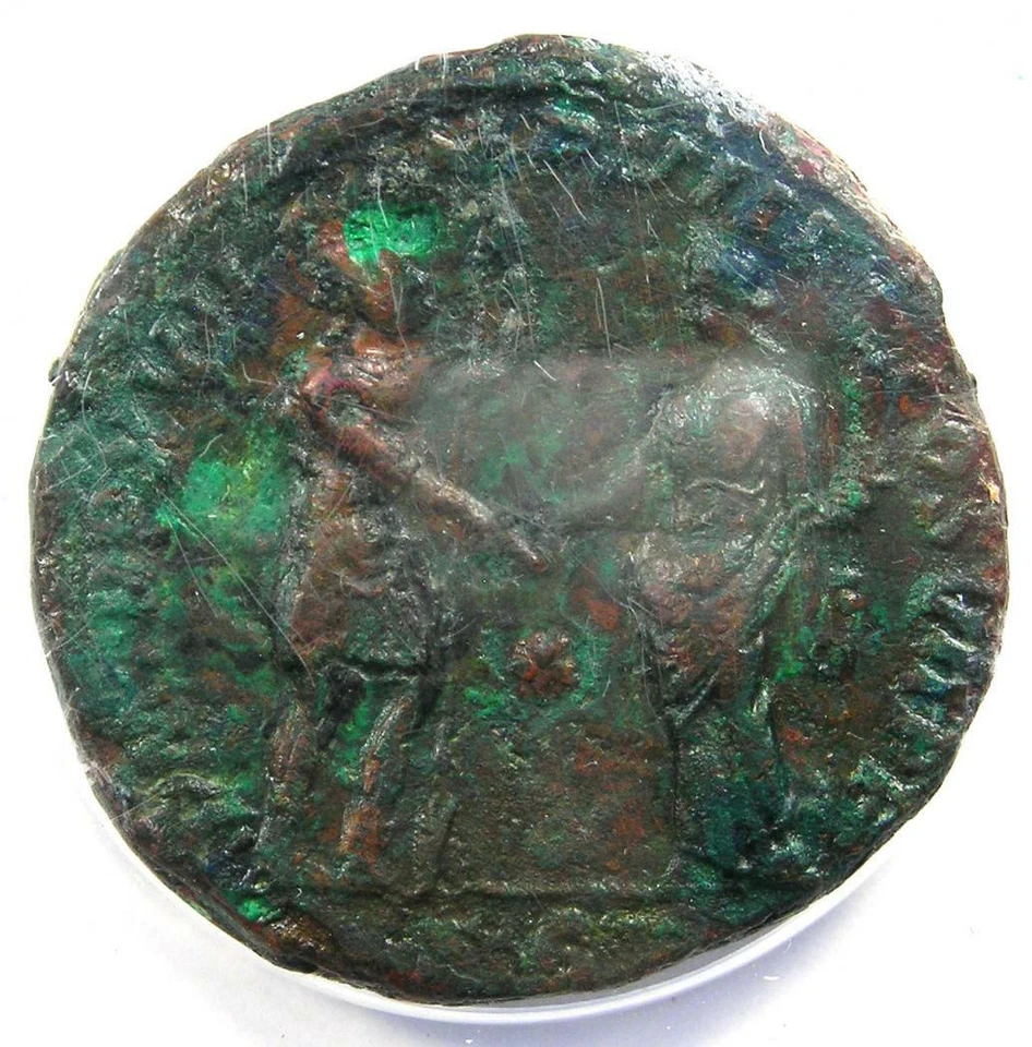 Roman Commodus AE Sestertius Copper Coin 192 AD - Certified ANACS VF30 - Image 4 of 4