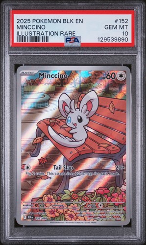 Minccino graded PSA 10 for sale on eBay