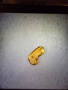 Pure Gold Nugget California Natural Small Gold Nugget .090 of a Gram, Beautiful!
