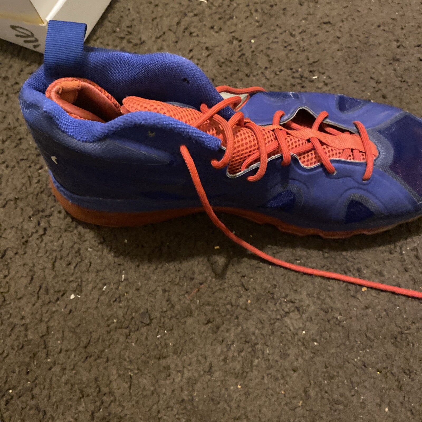 Basketball - image 5