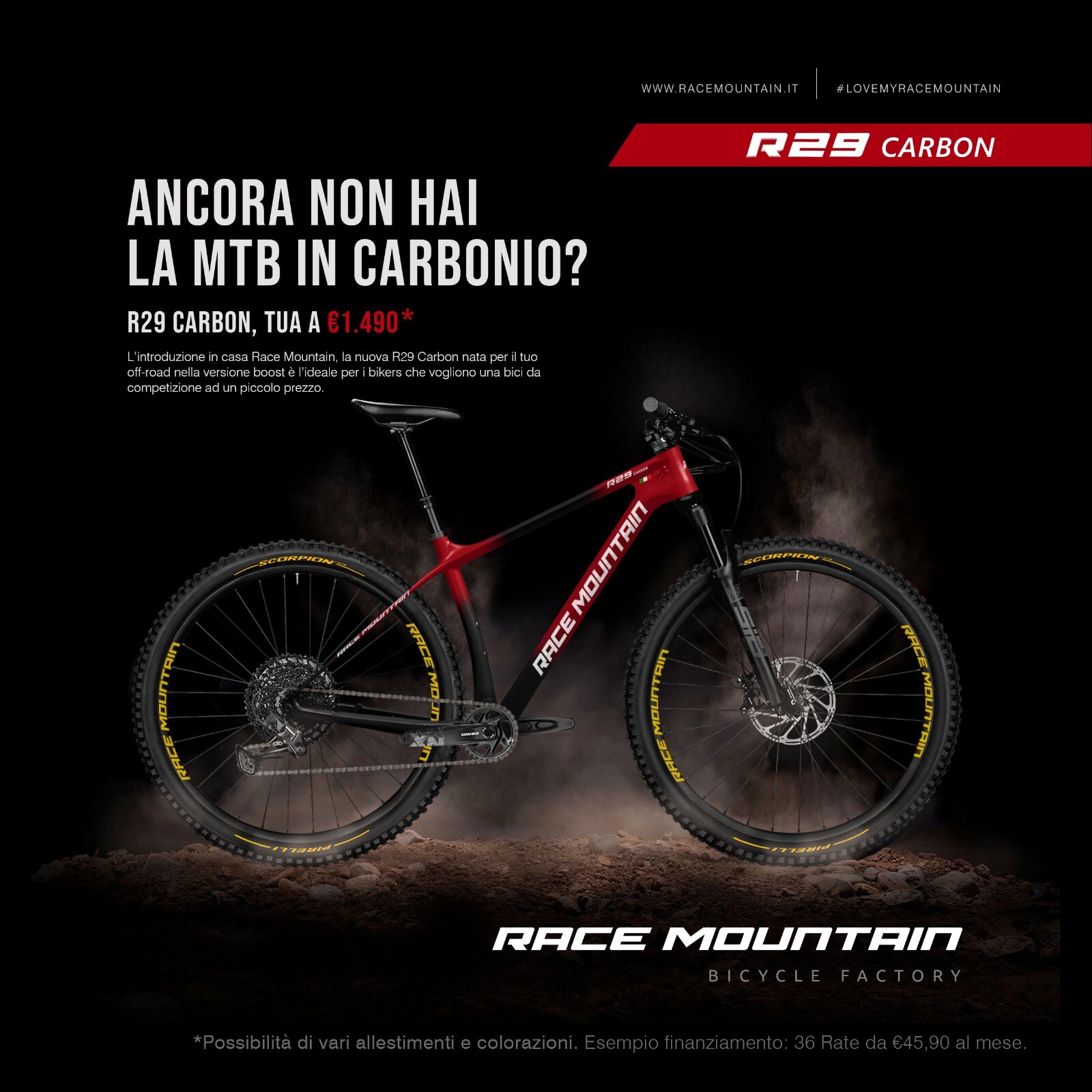 Race Mountain R29 Carbon - MTB in carbonio foto 2