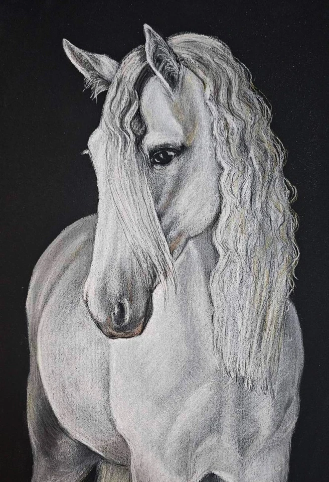 Dibujo pastel caballo blanco A3 arte equino realista en papel negro gracia y poder Foto 3 de 4