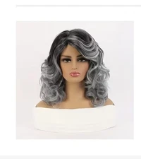 Brand New 16 inch Black to Silver wig in Original packing