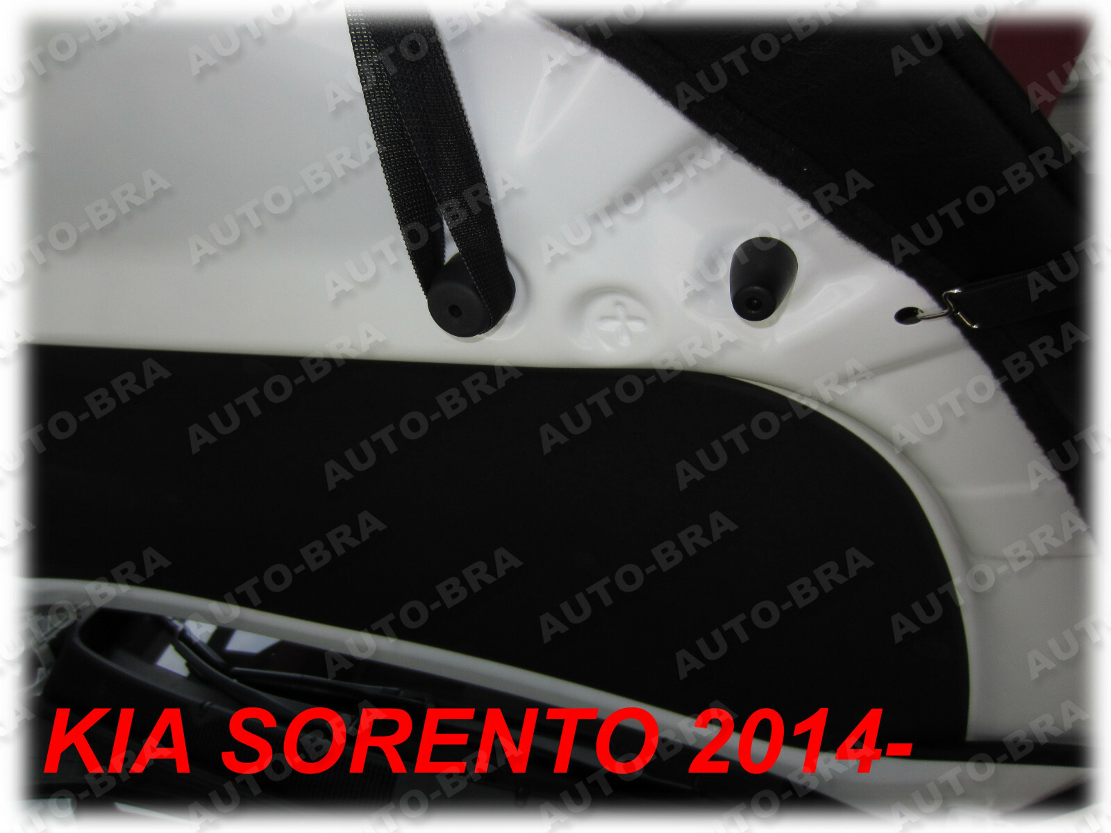 Imagen 6 de 6