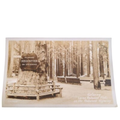 #ad #ad Postcard RPPC Entering Lanes Redwood Flat on the Redwood Highway Unposted $15.04