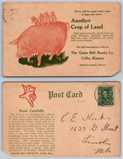 Grain Belt Realty Co Colby Kansas Pig Farm Advertising Postcard