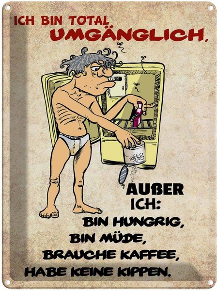 Blechschild 40X30 Cm Bin Total UmgäNglich AußEr Spruch Zitat Deko Geschenk Metal-image