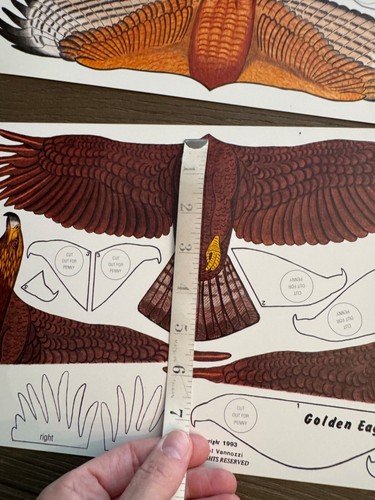 1993 Wild Flyers 7 Authentic Bird Gliders by Michael Vannozzi Cardinal Blue Jay - Picture 8 of 20