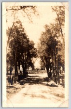 Old Dirt Road on a Tree Line Street RPPC Real Photo Postcard VTG Old Dirt Road on a Tree Line Street RPPC Real Photo Postcard VTG
