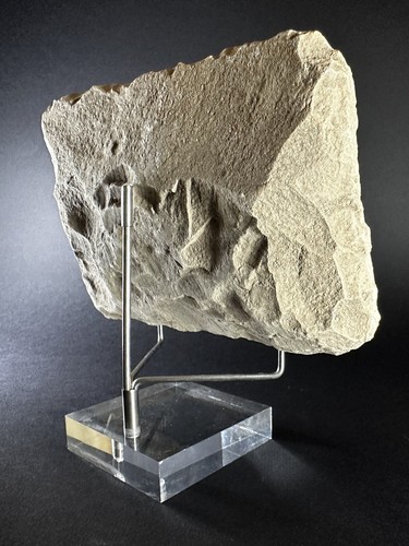 ANCIENT NEAR EASTERN STONE CARVED PLAQUE DEPICTING HORNED BULL - CIRCA 1600 BCE - Picture 6 of 10