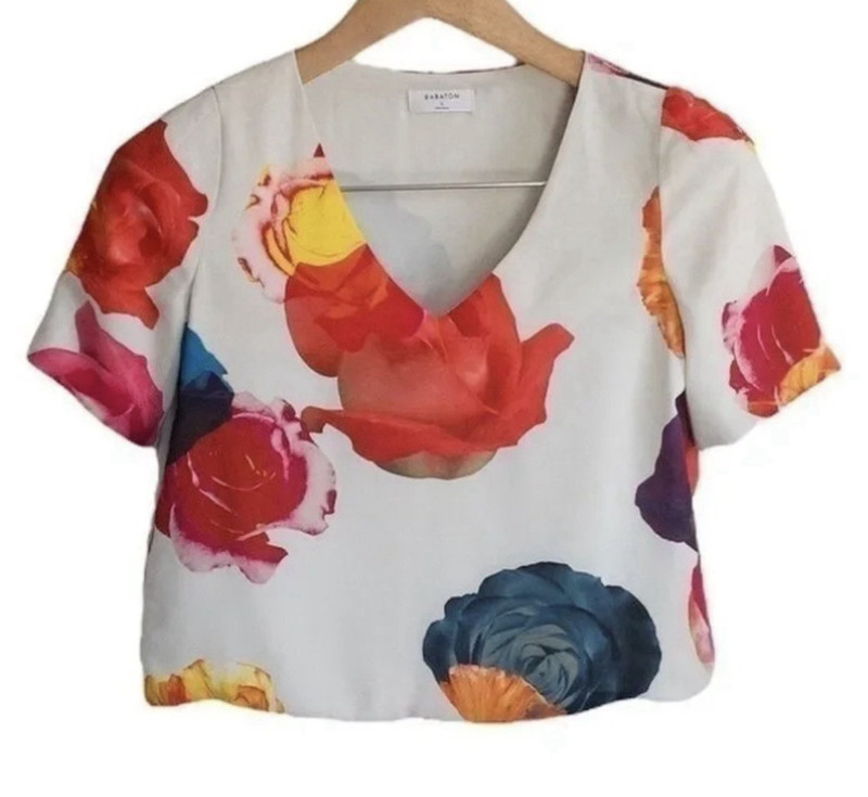 Aritzia Babaton Floral V Neck Blouse Women’s Small Multicolor Short Sleeve Top