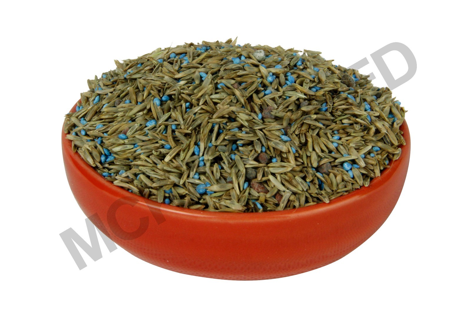 McKays Queensland Blue Couch Blend Grass Seed 2kg Lawn Seed eBay