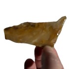 Golden HEBER UTAH PETRIFIED WOOD SLAB ~  26gr/ rough agate jasper cab rock — photo 4