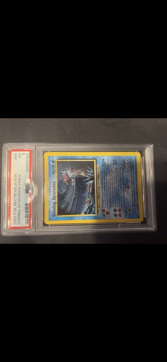 Shining Gyarados
