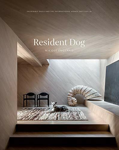 Resident Dog (Volume 2): Incredible Dogs and the International H - Image 5