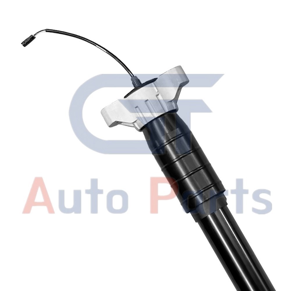 2X Rear LH & RH Air Shock Strut Assys For Maserati Levante M161 2017-2020 3.0L
