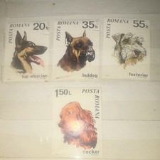 Romania Dog Breed Stamps 1971 Posta Romana Lup Alsacian Bulldog Foxterrier