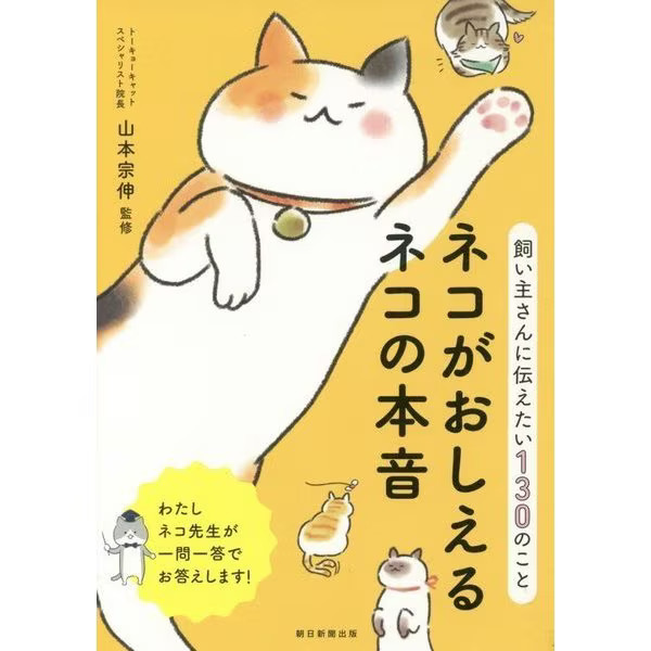 Cats True Feelings Book Communication Tips Japan Import