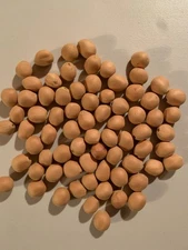 10 cycad seeds - Dioon edule var Rio Verde X Dioon Angustifolium Cycad Seeds