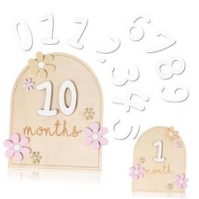 Baby Monthly Milestone Cards with 11 Interchangeable Number Set of 12 for