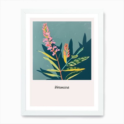 Veronica Flower Square Flower Illus Framed Wall Art Poster Canvas Print Picture