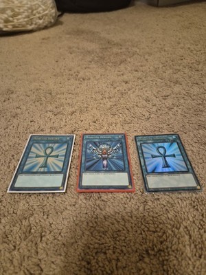 3 Monater Reborn