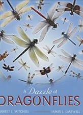 A Dazzle of Dragonflies Hardcover James L., Mitchell, Forrest L.