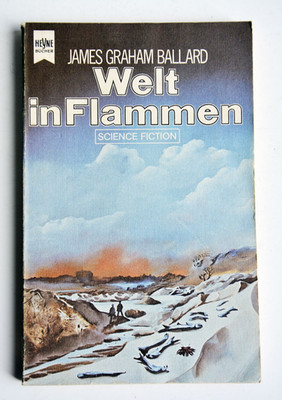 Welt in Flammen - James Graham Ballard, Heyne  science fiction 3114, 1978