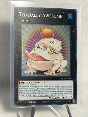 yugioh kaiba deck Amazon.com: Yugioh OCG Duel Monsters structure deck - Seto Kaiba
