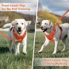 Joytale Step-in No Pull Dog Harness for Extra Large Dogs Orange Size XL Padded